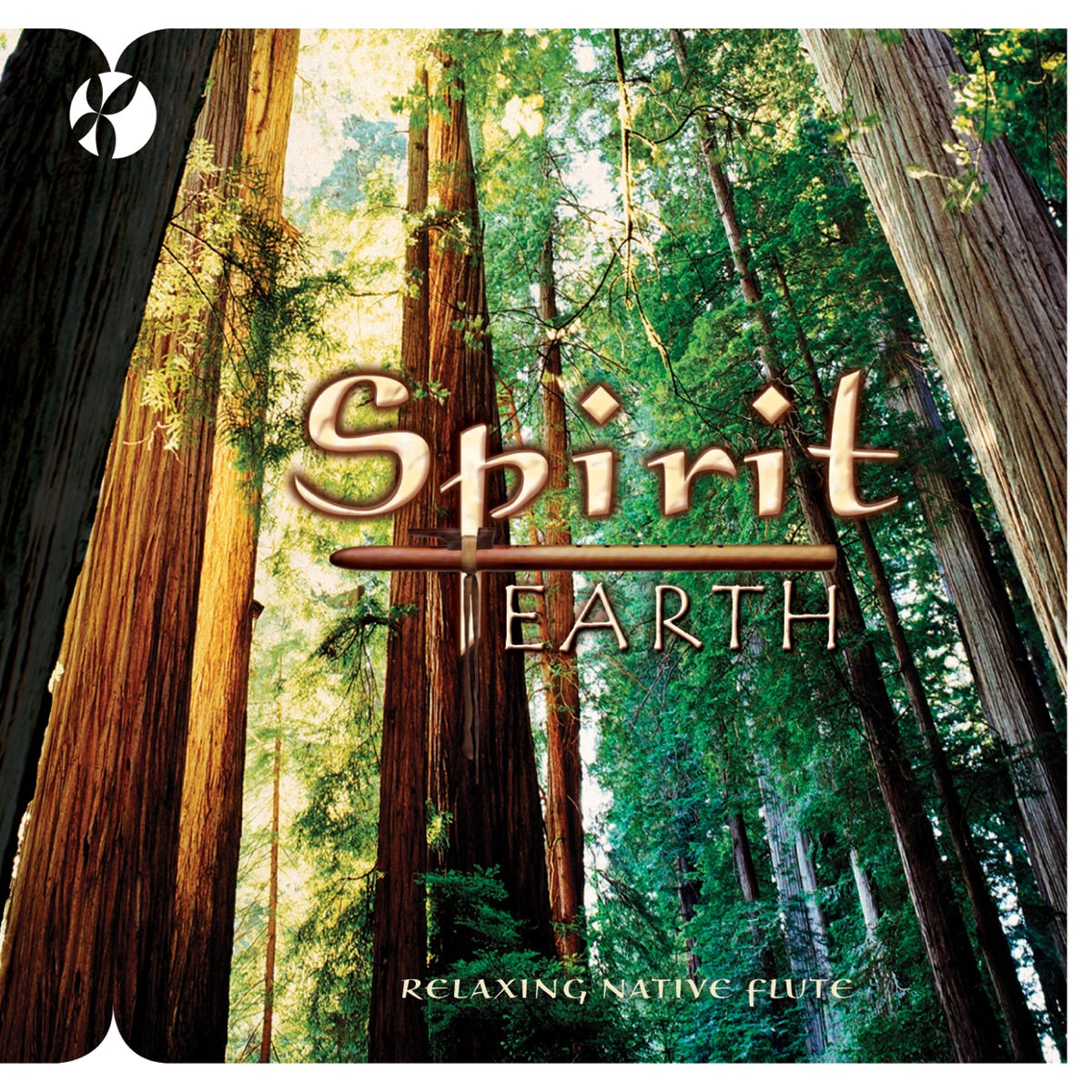 Spirit Earth (CD, EN)