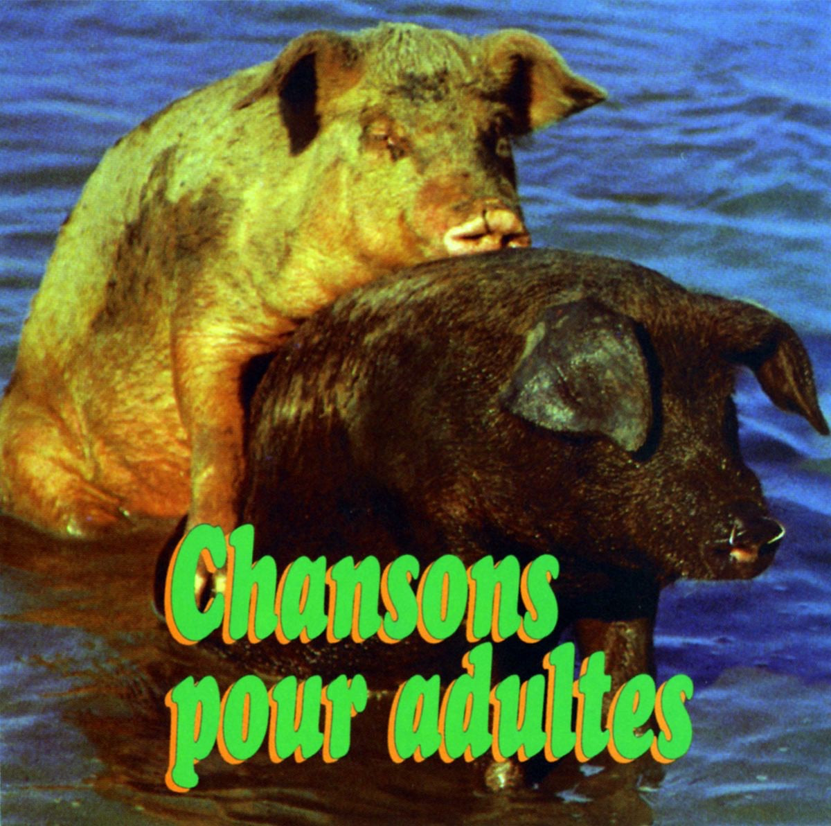 Chansons pour Adulte – 12 Chansons Pour Adultes (CD, VF)