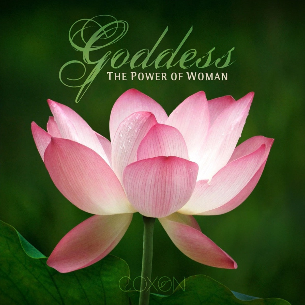 Robert Haig Coxon – Goddess...The Power Of Woman (CD, EN)