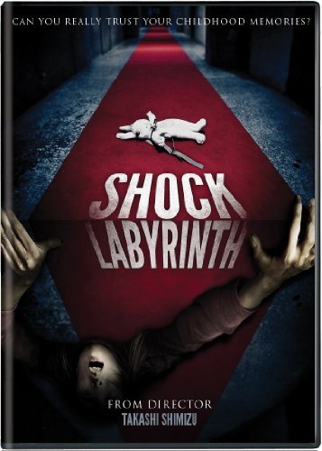 Shock Labyrinth (DVD, EN)