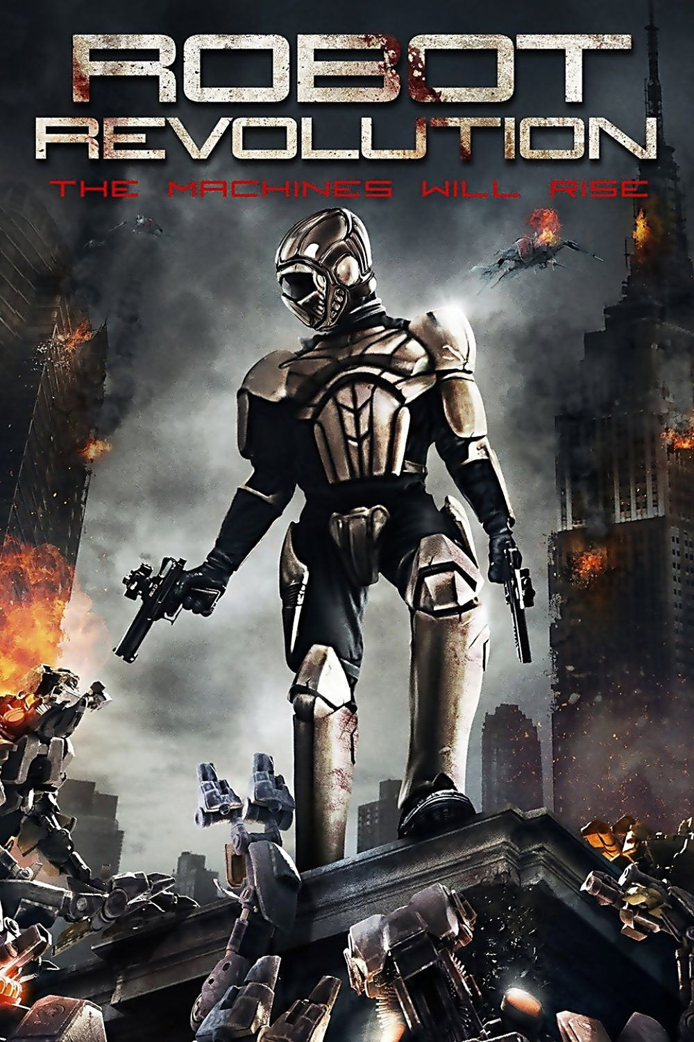 Robot Revolution (DVD, EN)