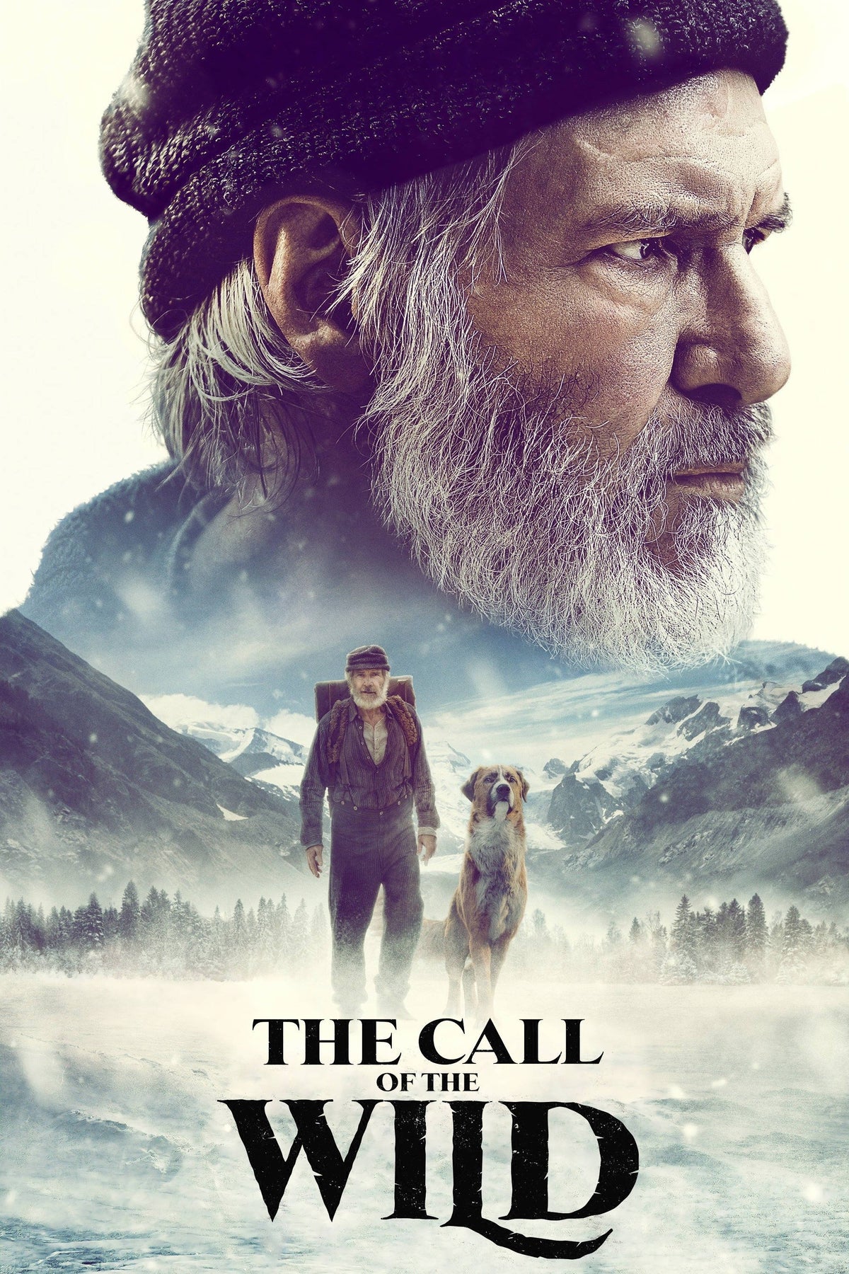 My Dad the Rock Star – Call Of The Wild (DVD, EN)