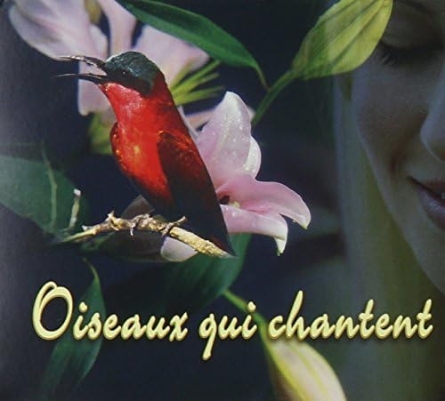 Oiseaux Qui Chantent (CD, VF) — cover