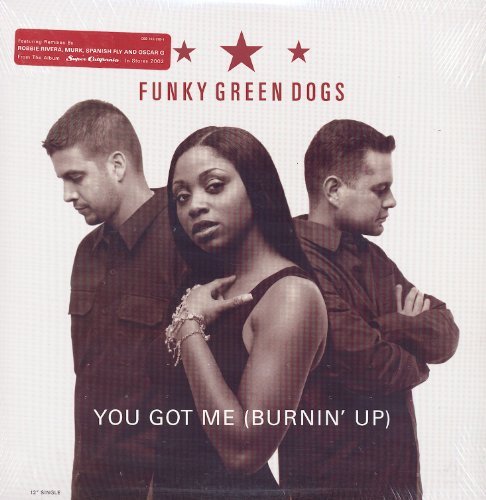 Funky Green Dogs – You Got Me (Vinyl, EN)