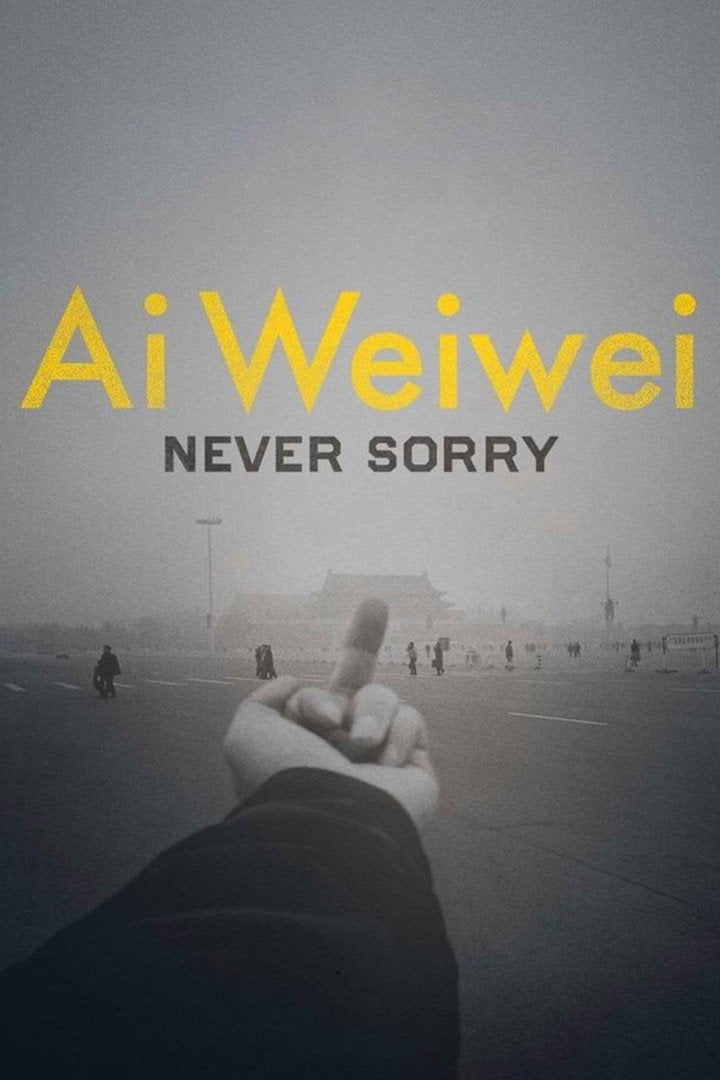 Ai Weiwei Never Sorry (DVD, VF/EN)