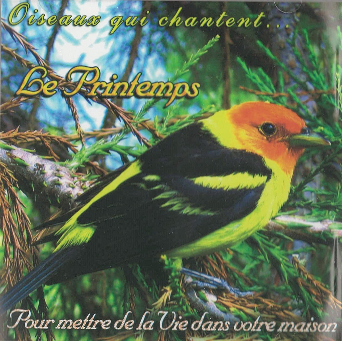 Oiseaux Qui Chantent – Le Printemps (CD, VF) — cover