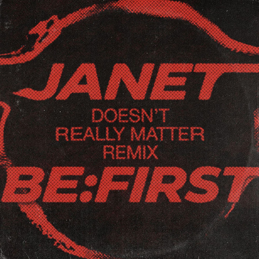 Janet Jackson – Doesn't Really Matter (Vinyl, EN)