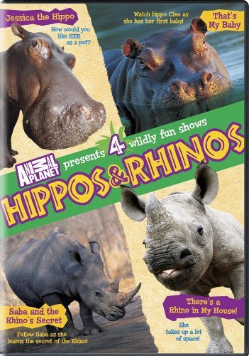 Hippos & Rhinos (DVD, EN)