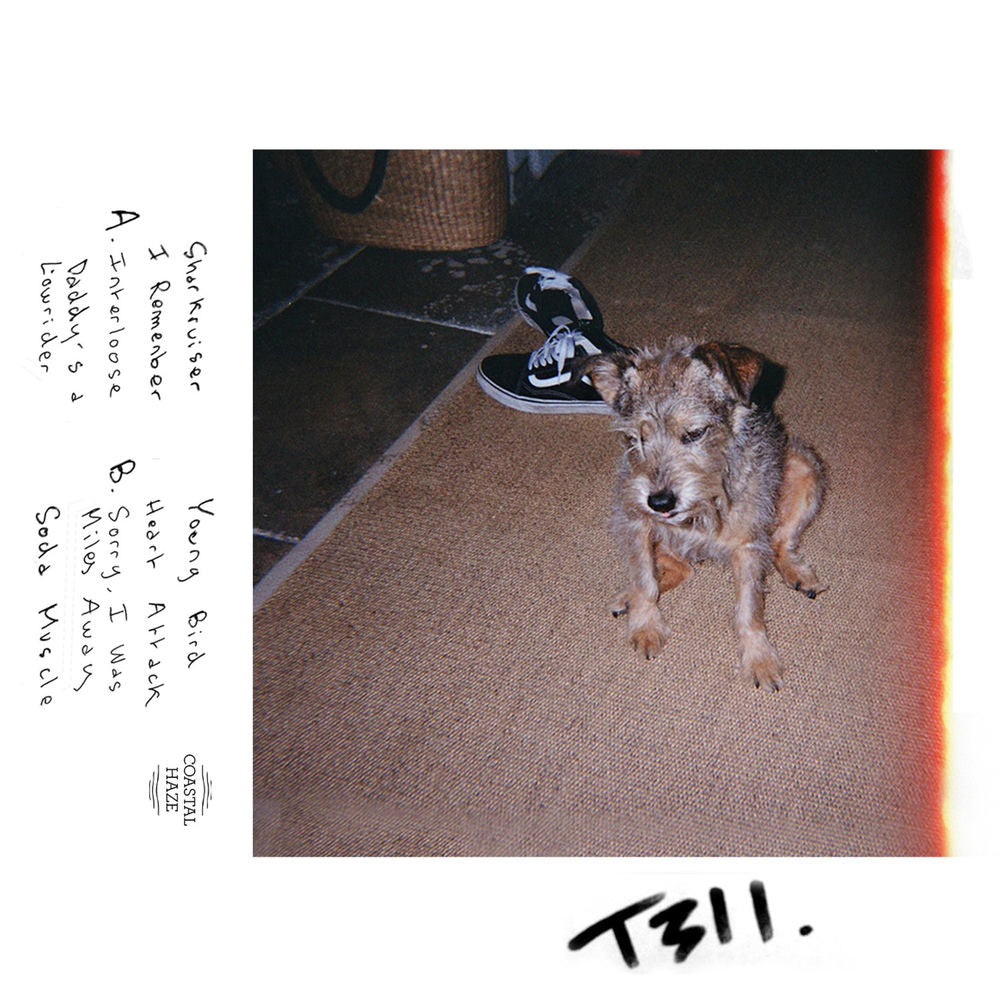 Tell (DVD, EN)