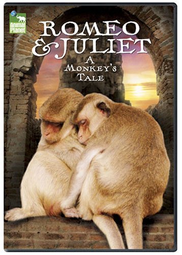 Romeo & Juliet – A Monkey's Tale (DVD, EN)