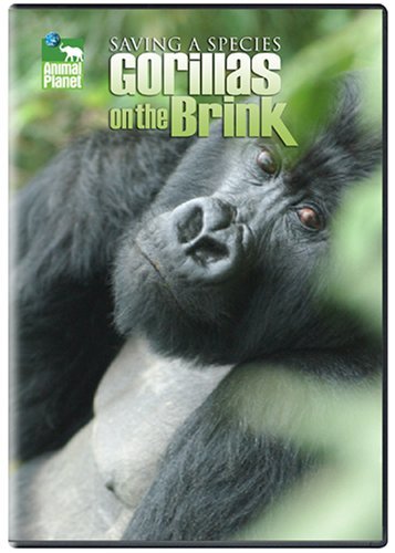 Gorillas On the Brink – Saving A Species (DVD, EN)