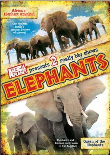 Elephants – Animal Planet (DVD, EN)