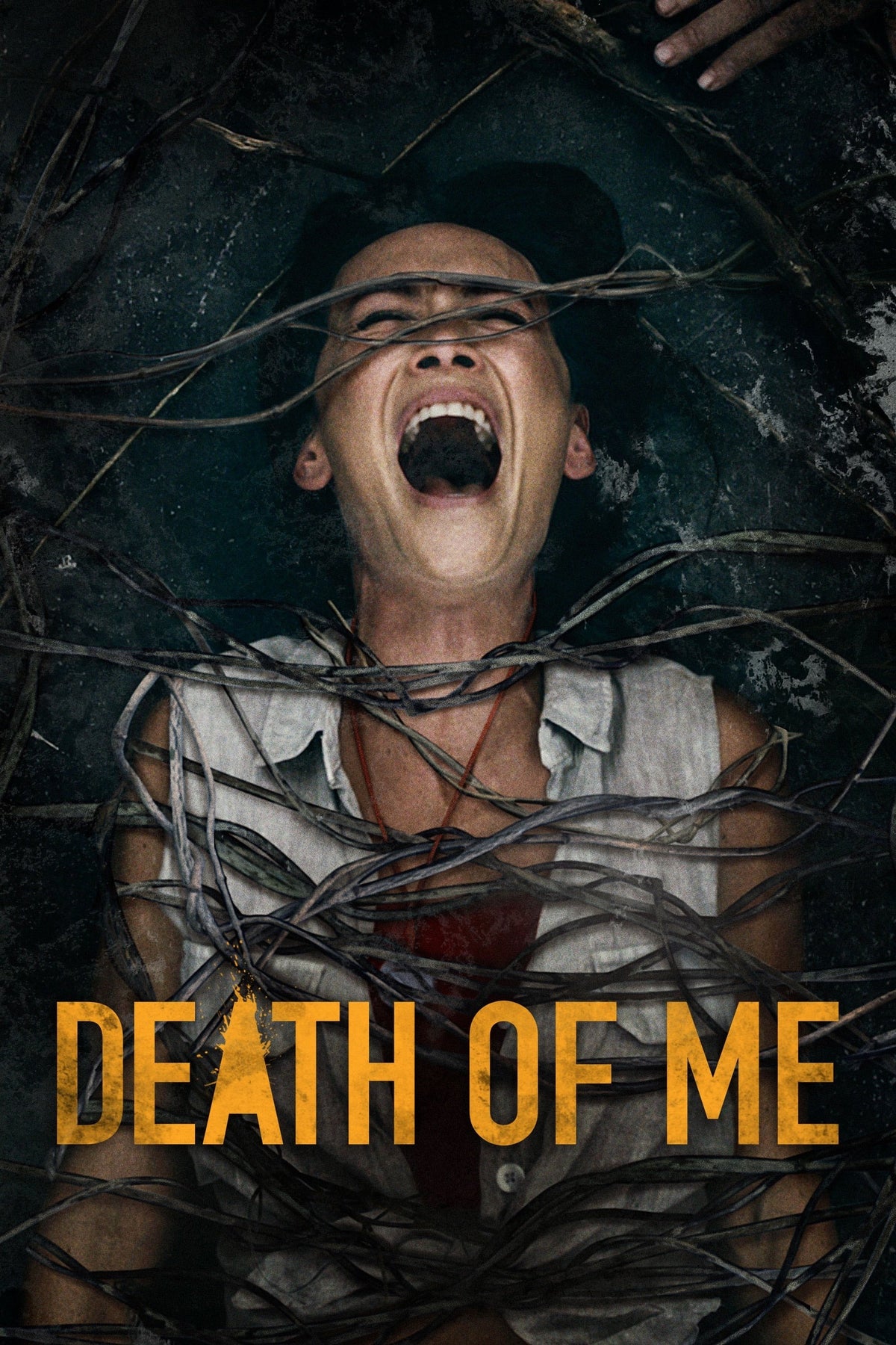 Death of Me (DVD, EN)