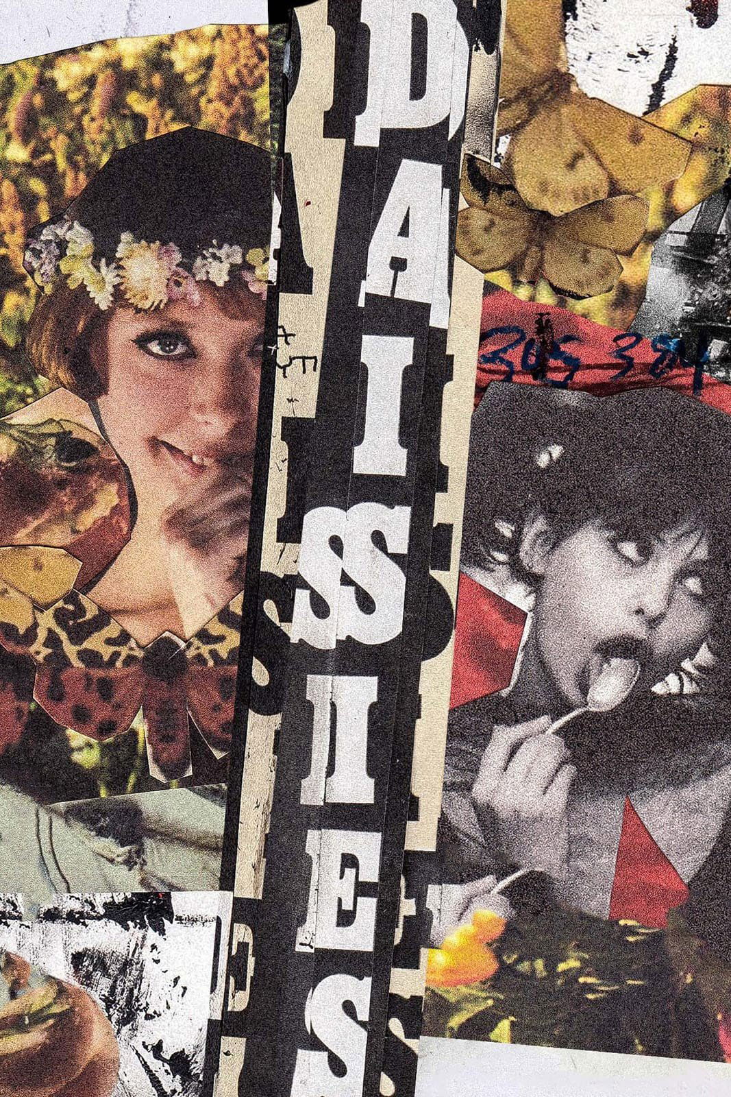 Daisies (DVD, EN)