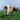Pink Floyd – Atom Heart Mother (2016 Remastered) (Vinyl)
