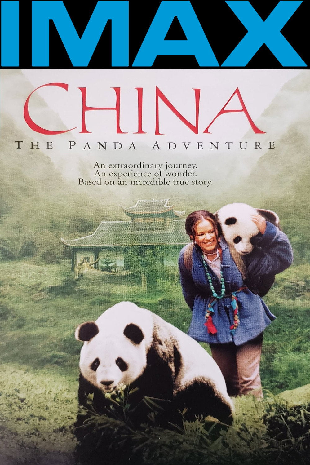 Imax – China The Panda Adventure (DVD, EN)