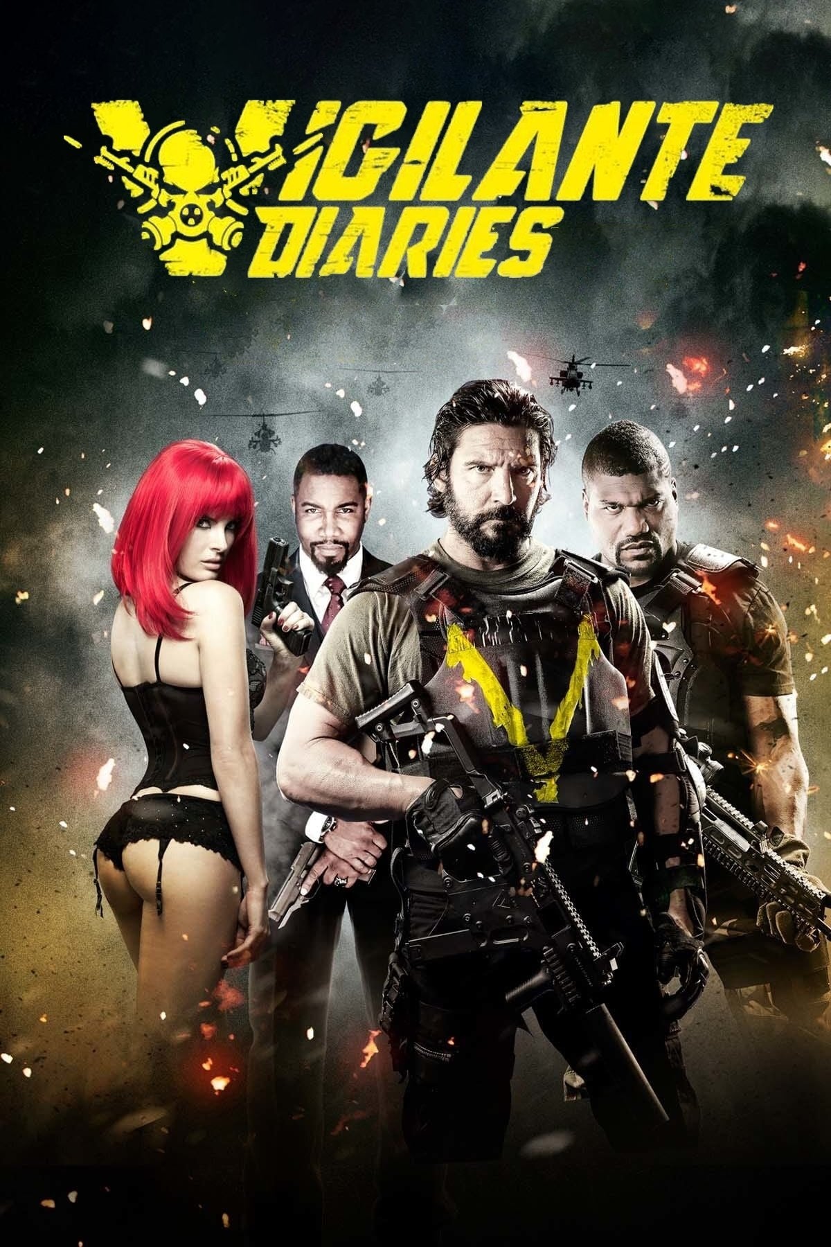 Vigilante Diaries (DVD, EN)