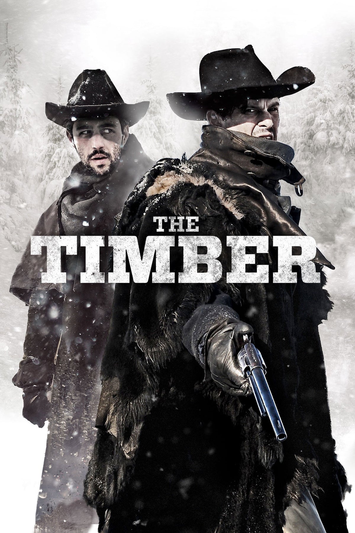 Timber – The Timber (DVD, EN)