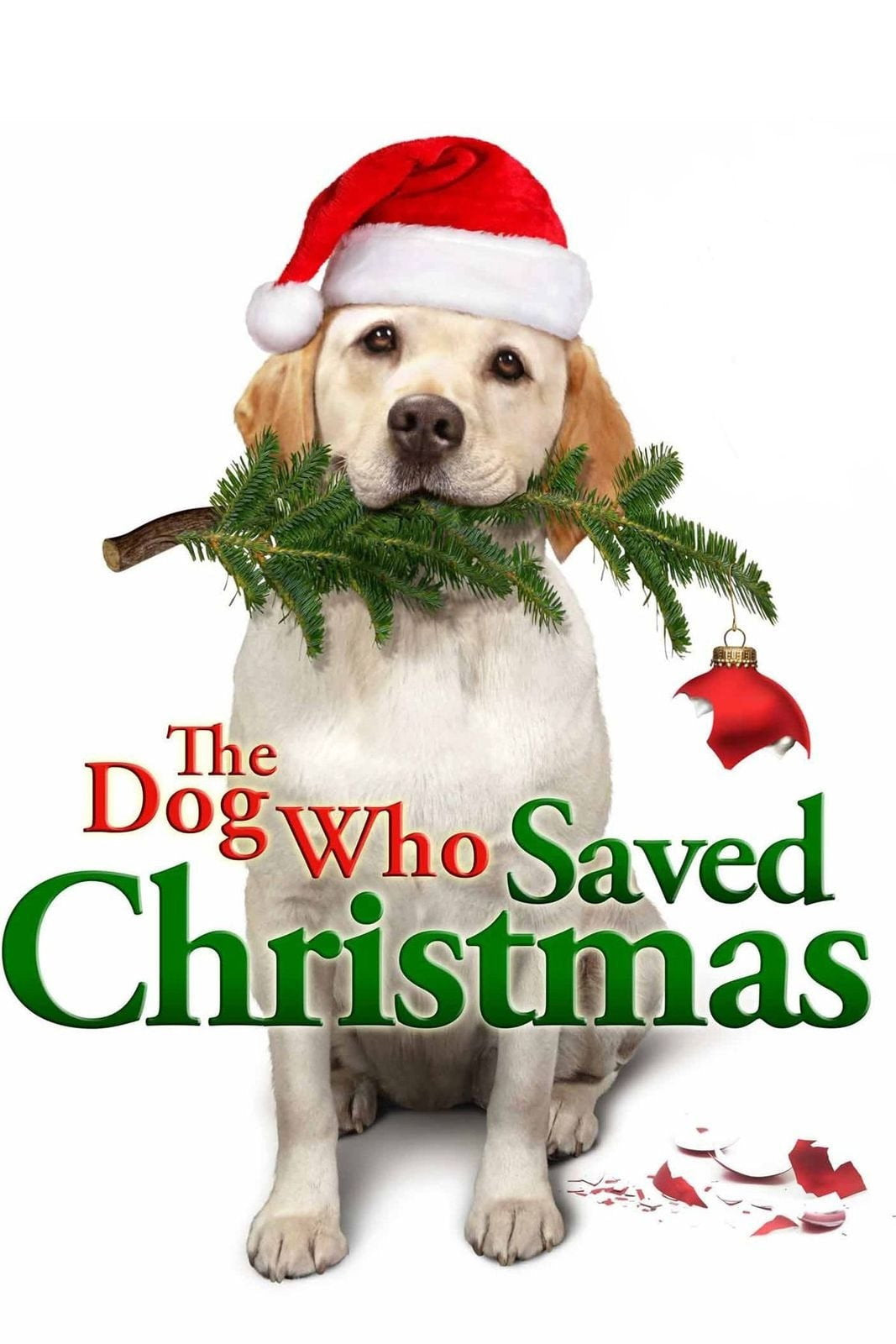 Shelby – The Dog Who Saved Christmas (DVD, EN)