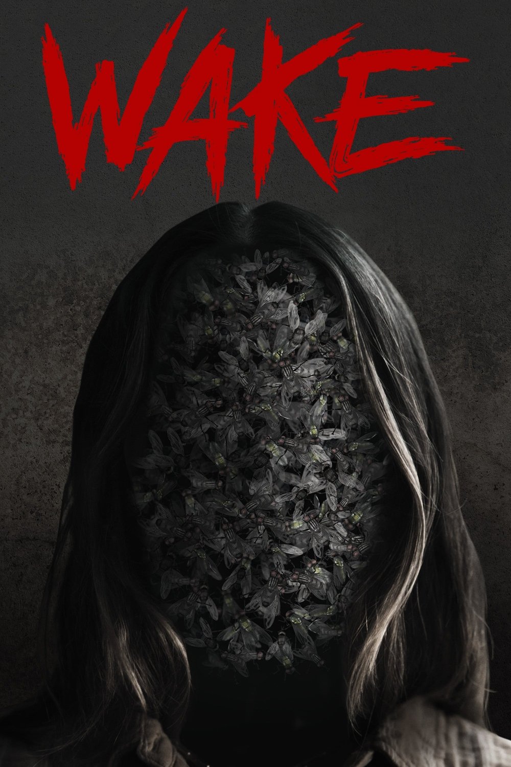 Wake (DVD, EN)