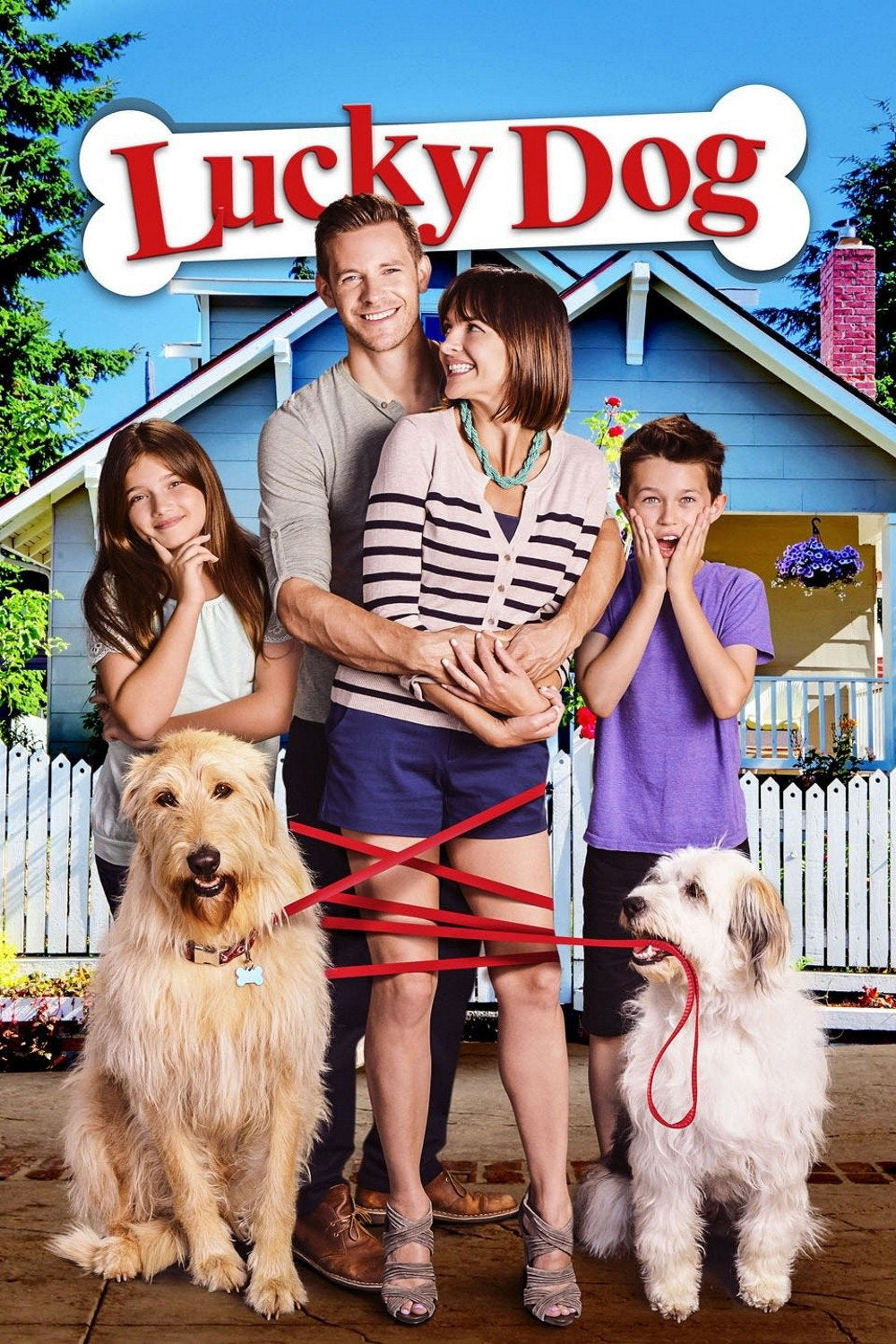 Lucky Dog (DVD, EN)