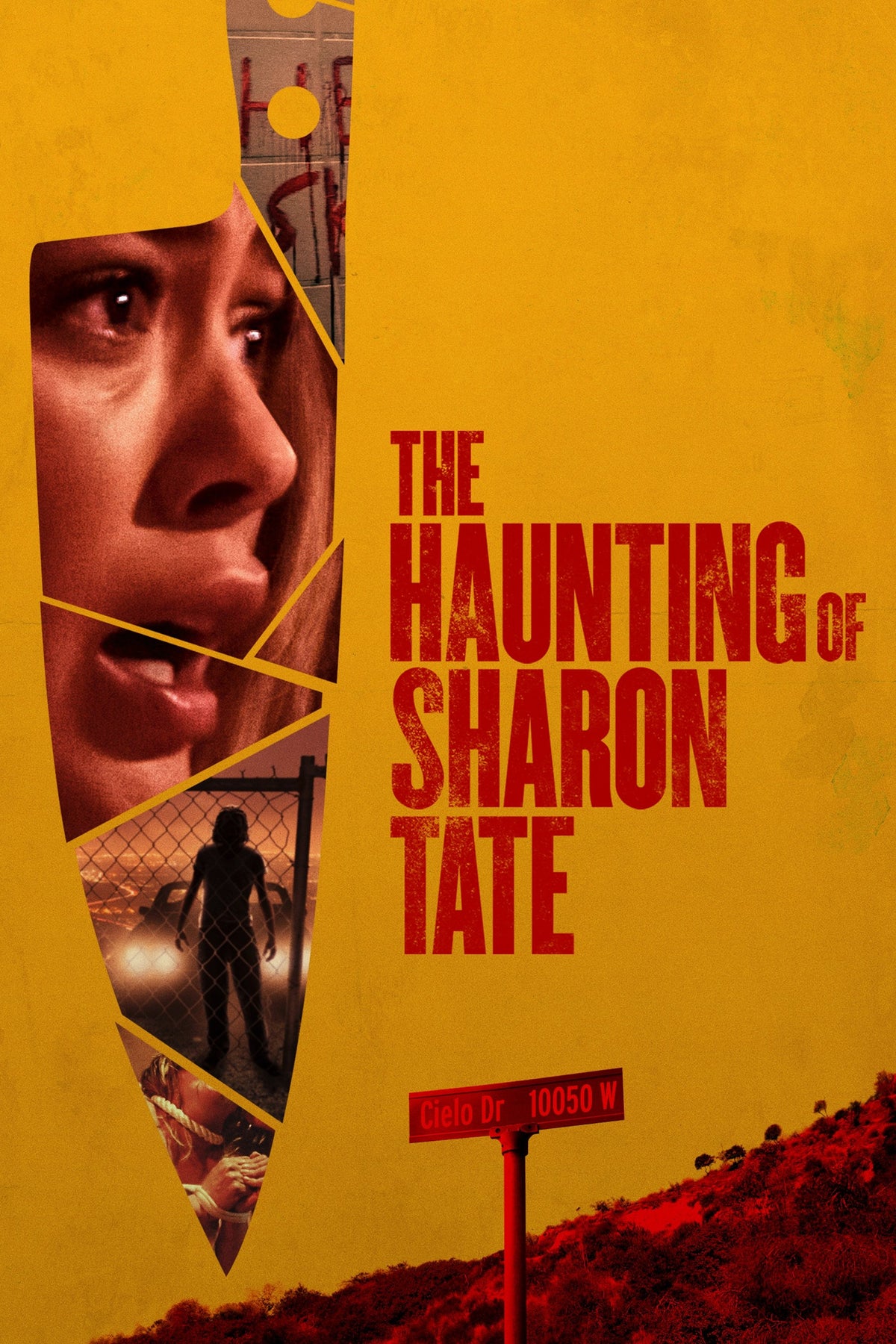Haunting of Sharon Tate (DVD, EN)
