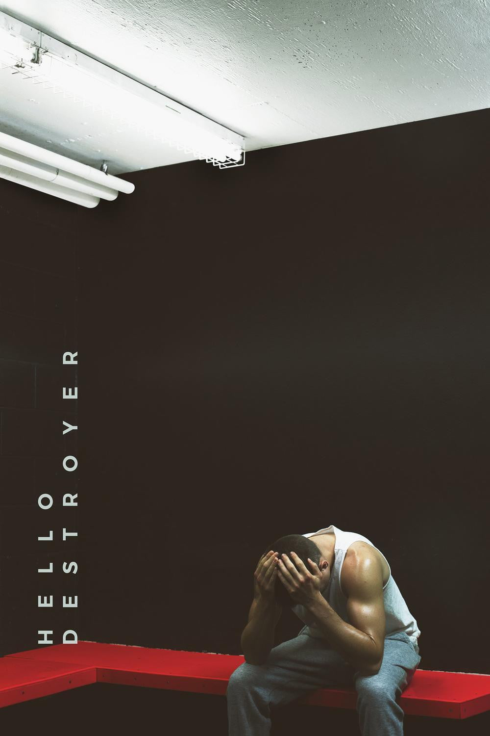 Hello Destroyer (DVD, VF/EN)