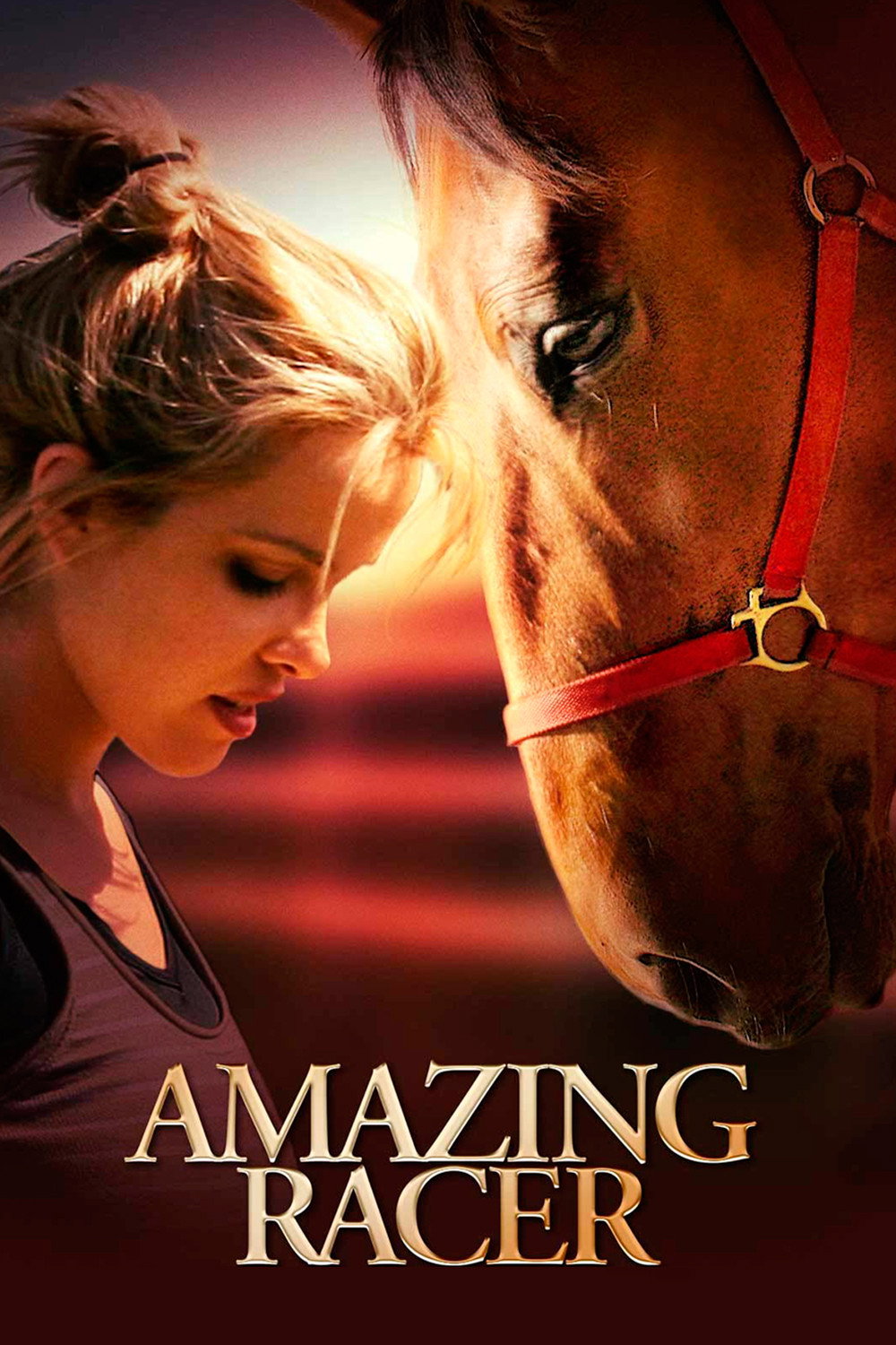Amazing Racer (DVD, VF/EN)