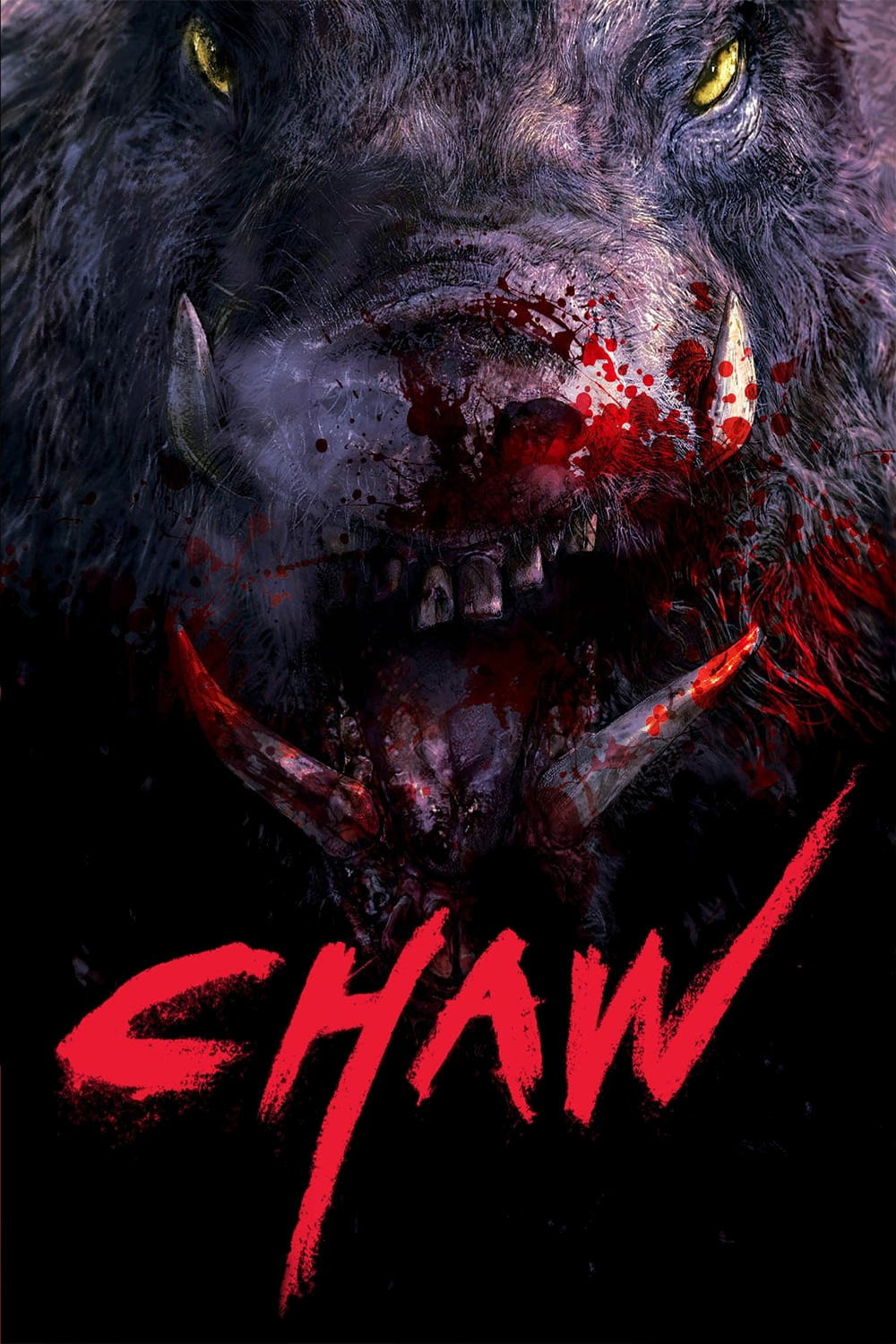 Chawz (DVD, EN)