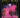 April Wine – Live! (CD, EN)