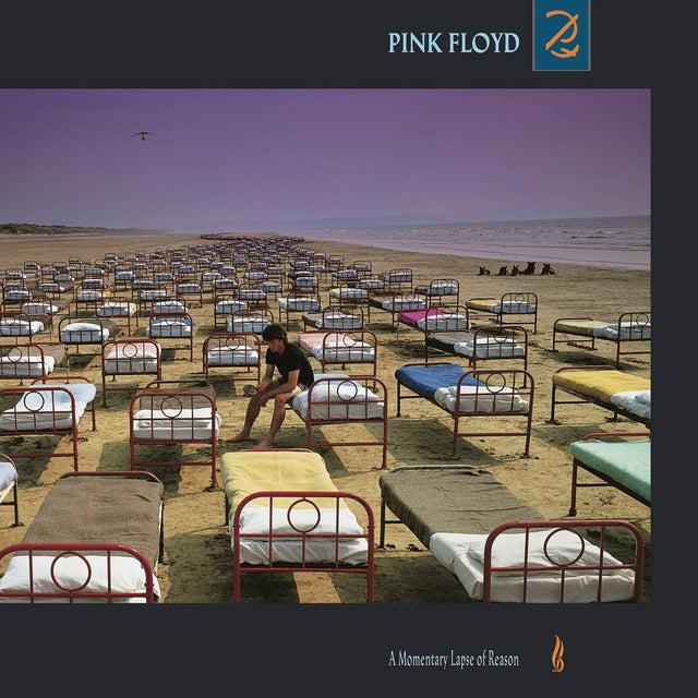 Pink Floyd – A Momentary Lapse of Reason (2017 Remastered) (Vinyl)