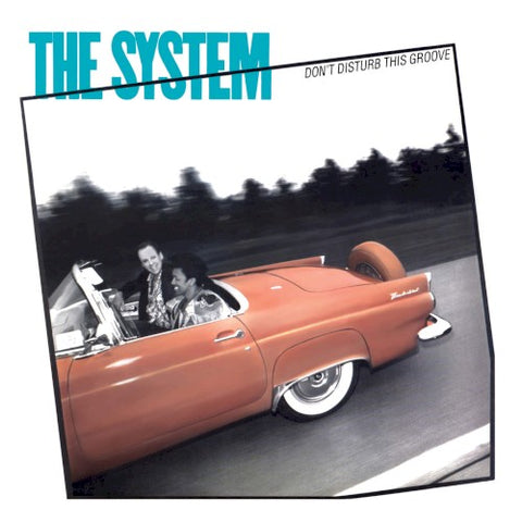 System – Don't Disturb This Groove (CD, EN)